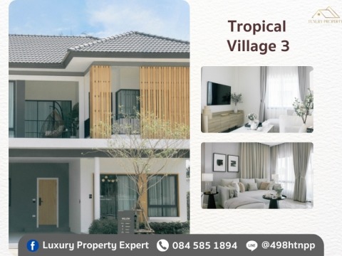 Tropical Village 3 - Willow (6.5 mb)